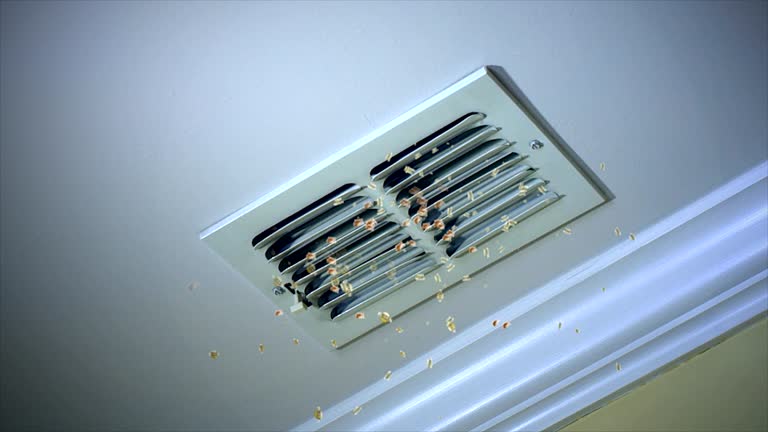 Best Best Air Duct Cleaning Company  in Pottsboro, TX