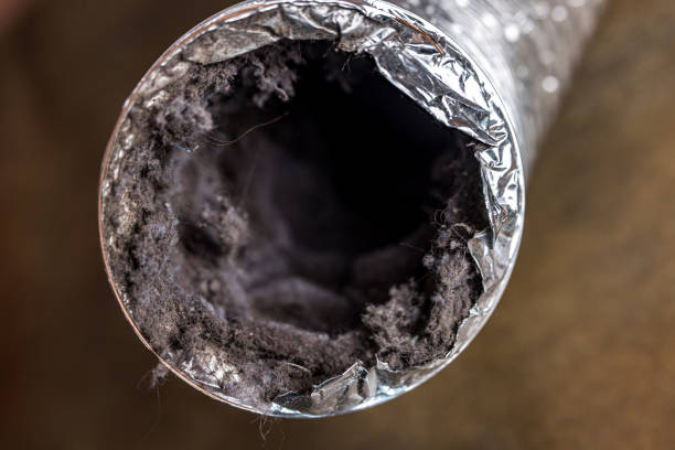 Best Ductwork Cleaning Services  in Pottsboro, TX