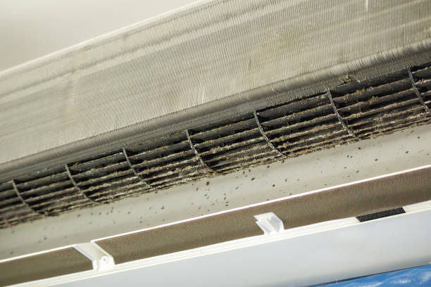 Best Affordable HVAC Duct Cleaning  in Pottsboro, TX